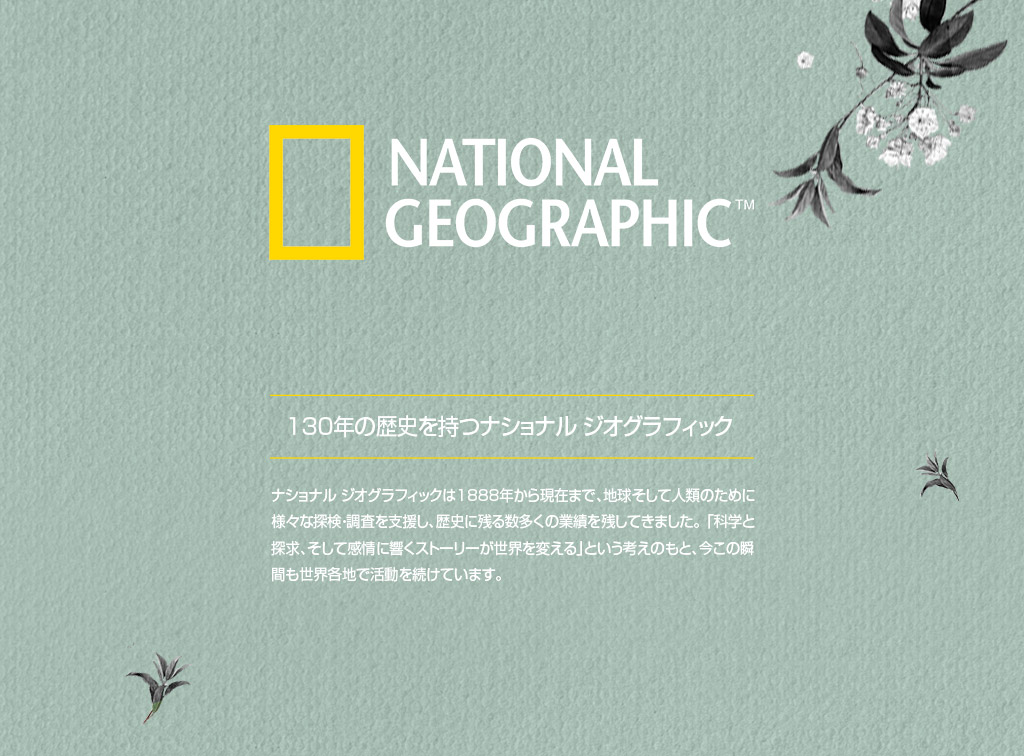 130年の歴史を持つNational Geographic（ナショナルジオグラフィック）